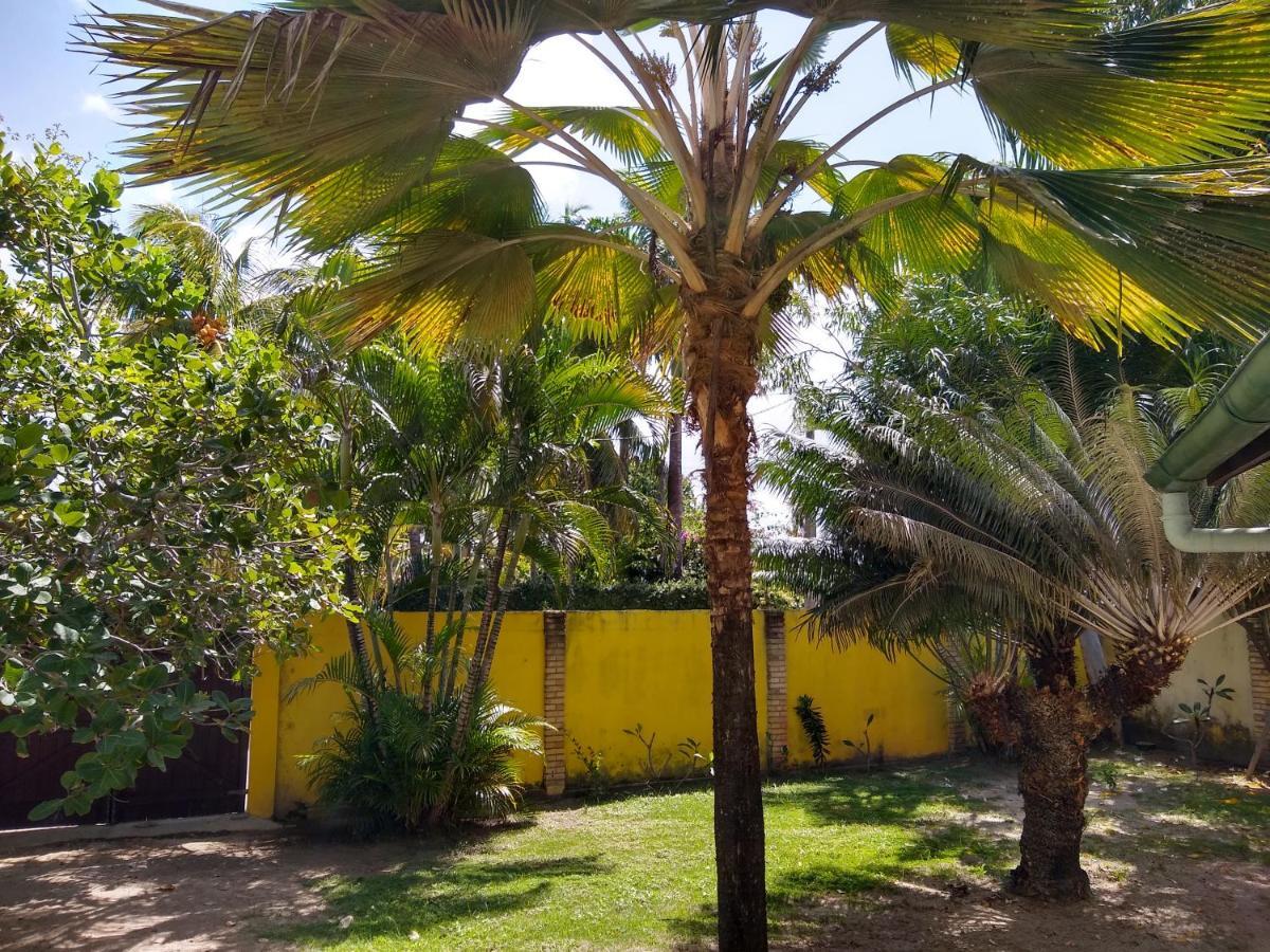Pôrto das Galinhas Hotel Pousada Porto Do Colibri מראה חיצוני תמונה