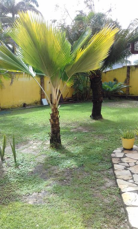 Pôrto das Galinhas Hotel Pousada Porto Do Colibri מראה חיצוני תמונה